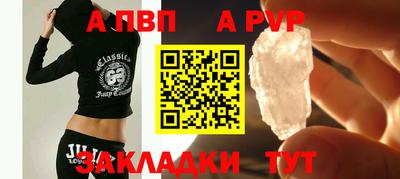 дурь Кингисепп