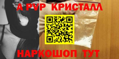 дурь Кингисепп