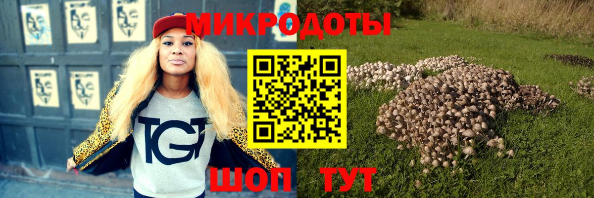 Красноармейск  Псилоцибиновые грибы MAGIC MUSHROOMS  Вход с VPN  Галлюциногенные грибы Magic Shrooms 