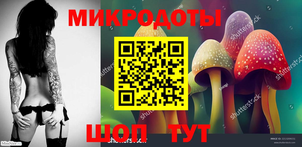 Псилоцибиновые грибы Psilocybe Красноармейск